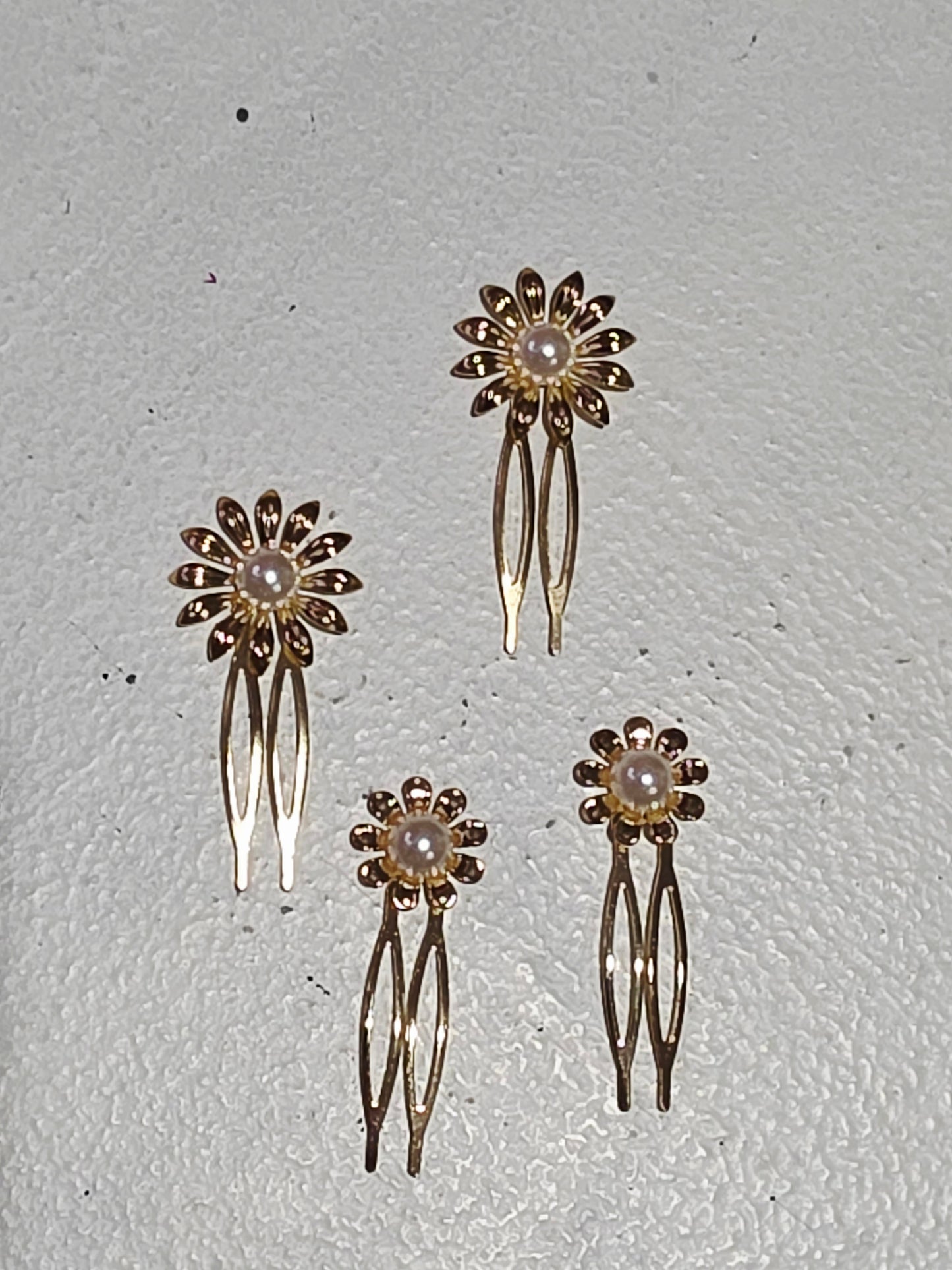 Pack Margaritas Silvestres