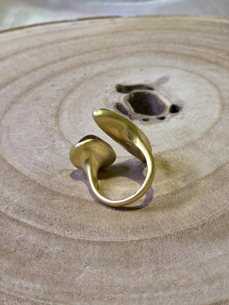 Anillo Fin