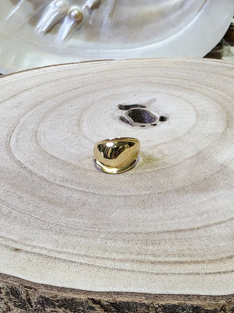 Anillo Solo
