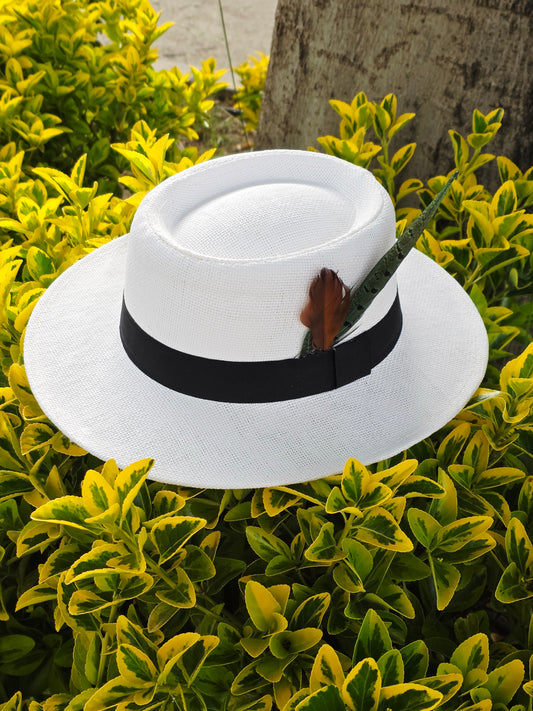 Sombrero de Ala Ancha con Plumas