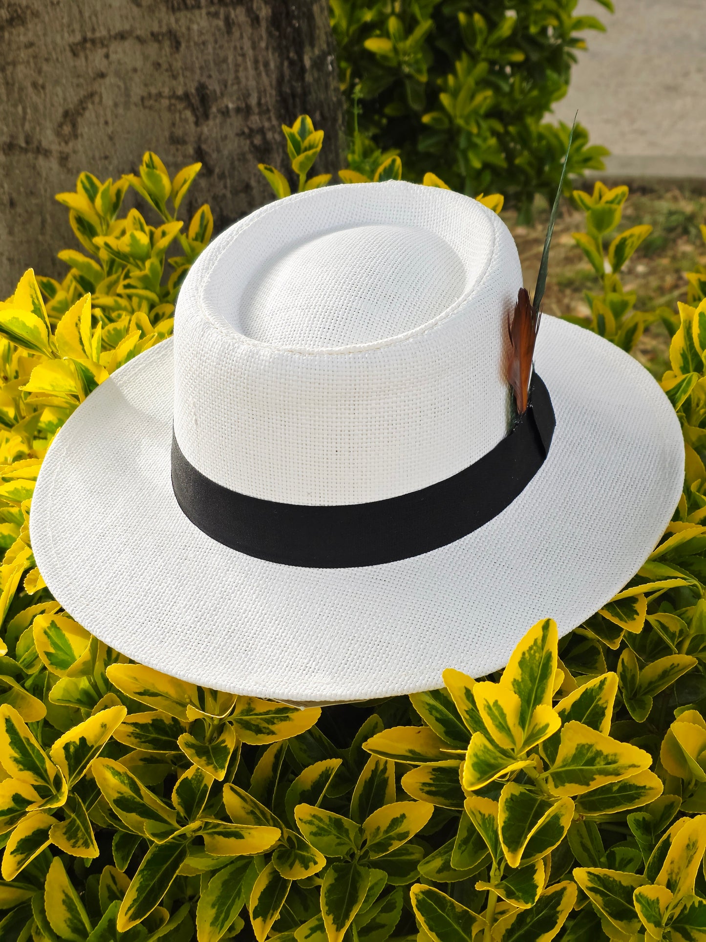 Sombrero de Ala Ancha con Plumas