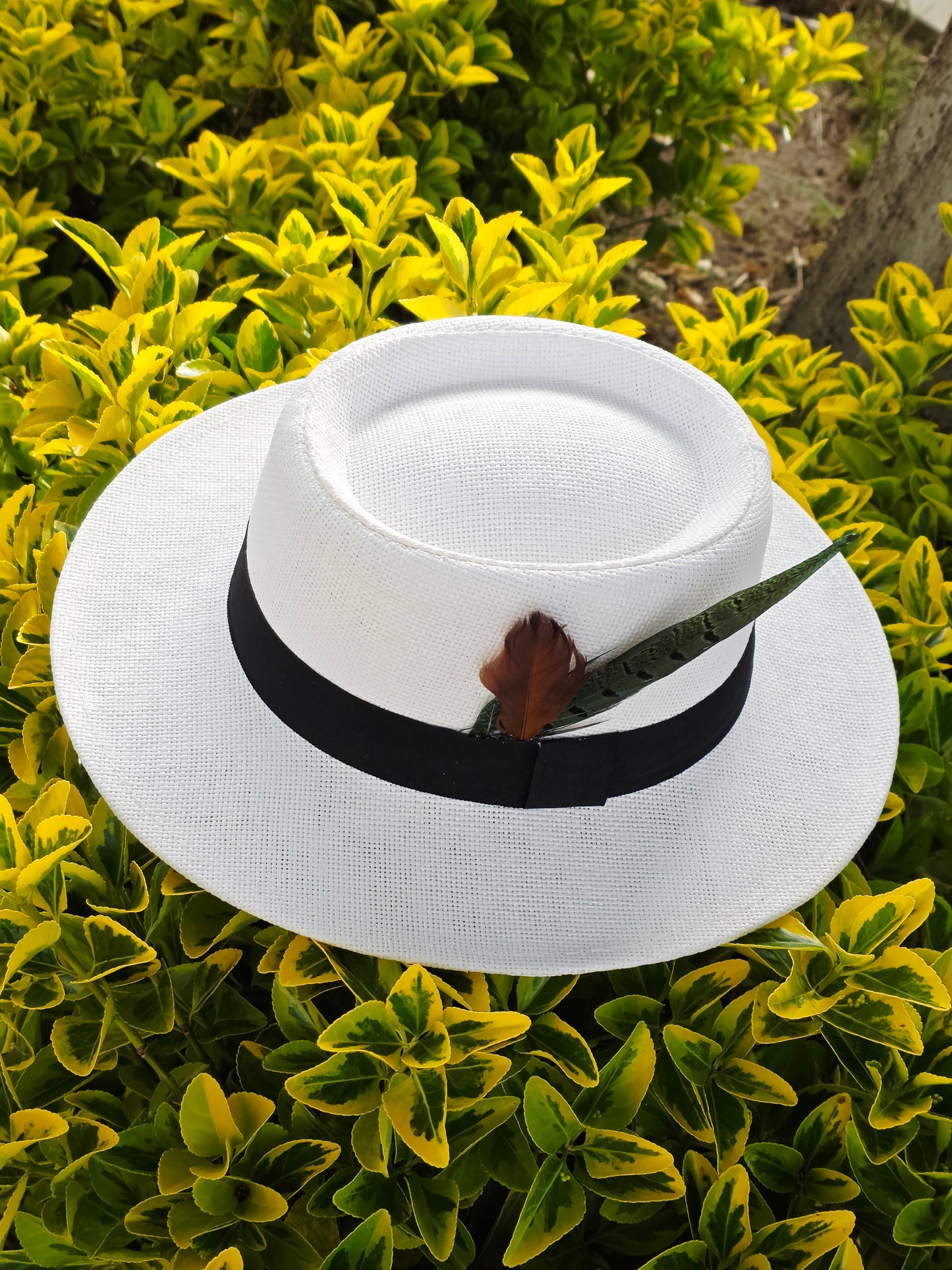Sombrero de Ala Ancha con Plumas