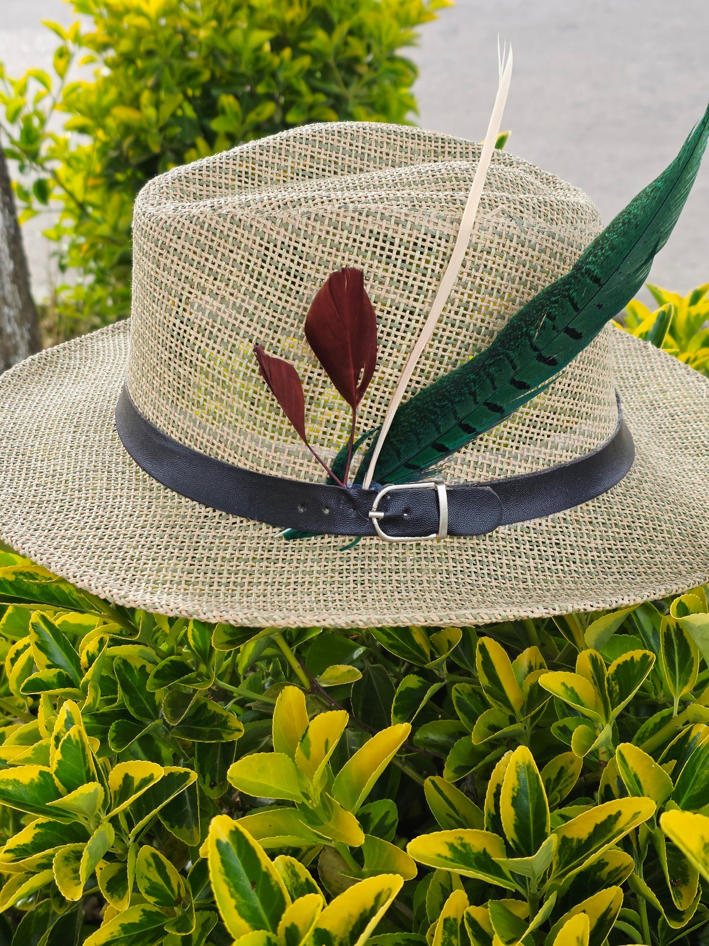 Sombrero Fedora