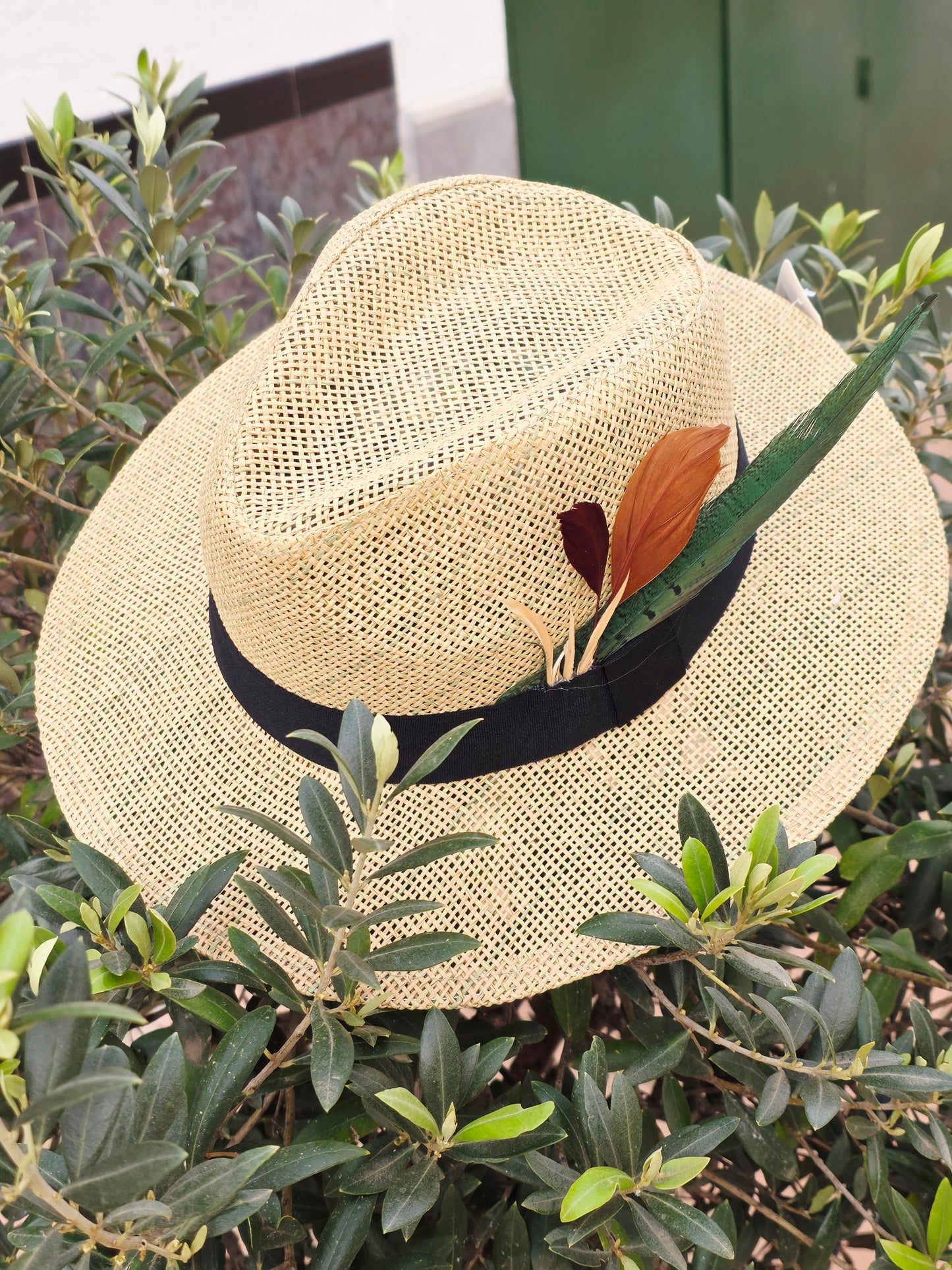 Sombrero Fedora