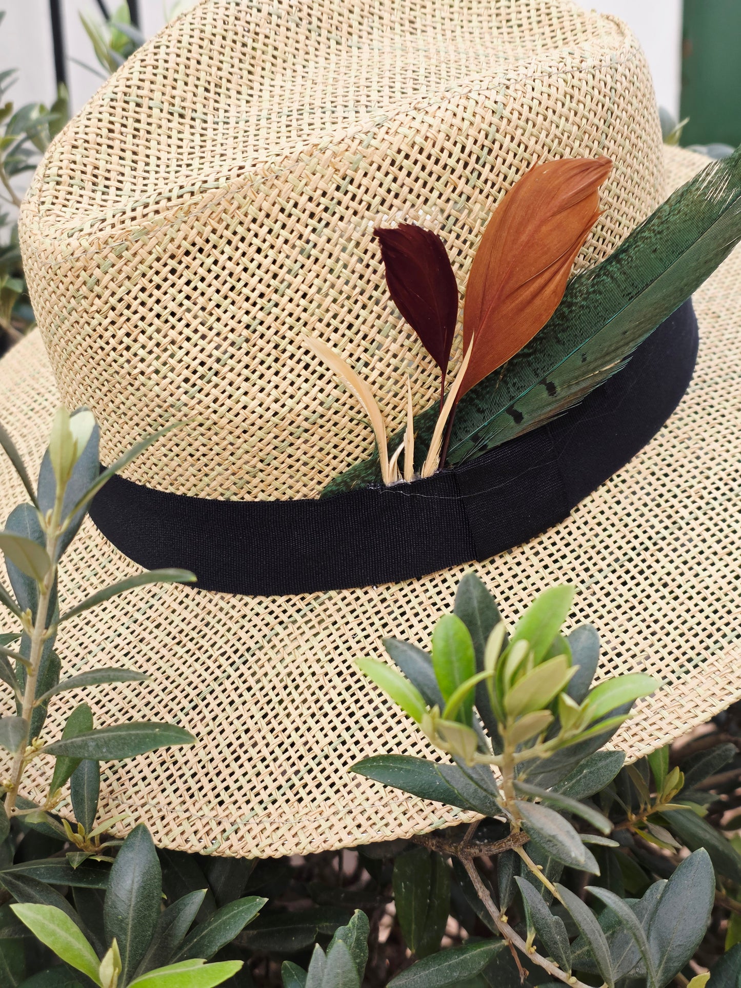 Sombrero Fedora