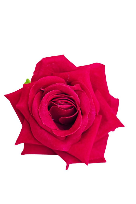 Rosa Terciopelo