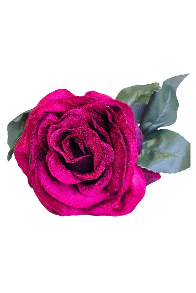 Rosa Terciopelo
