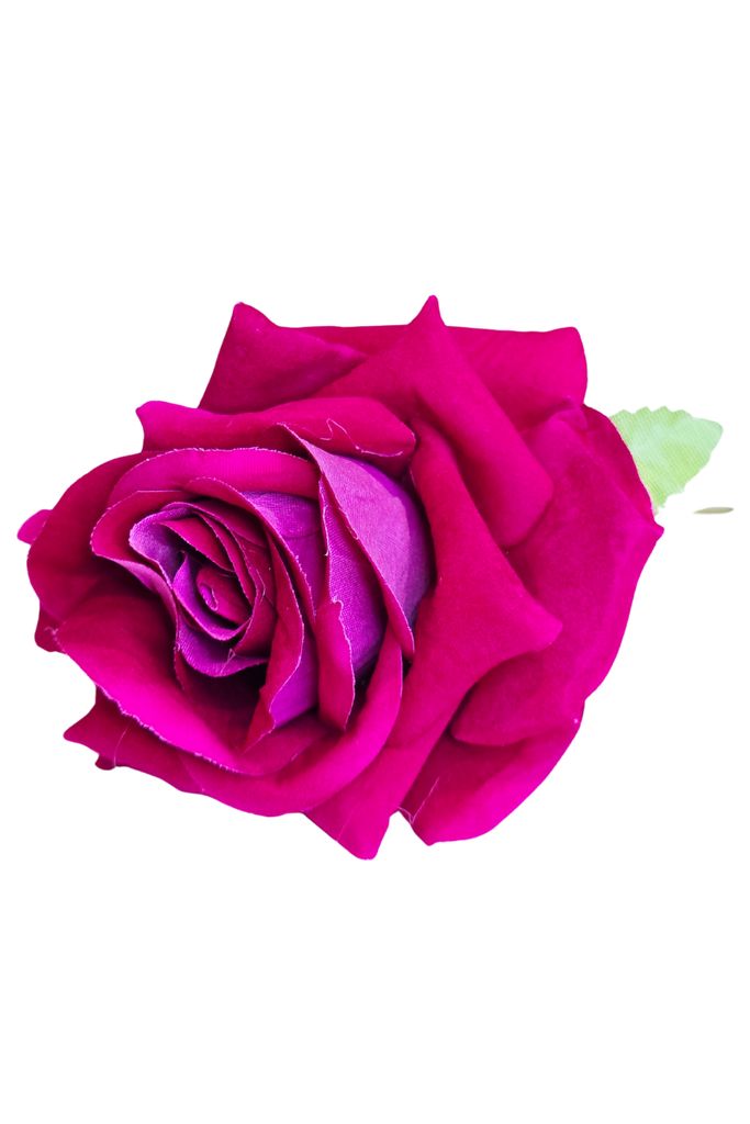 Rosa Terciopelo