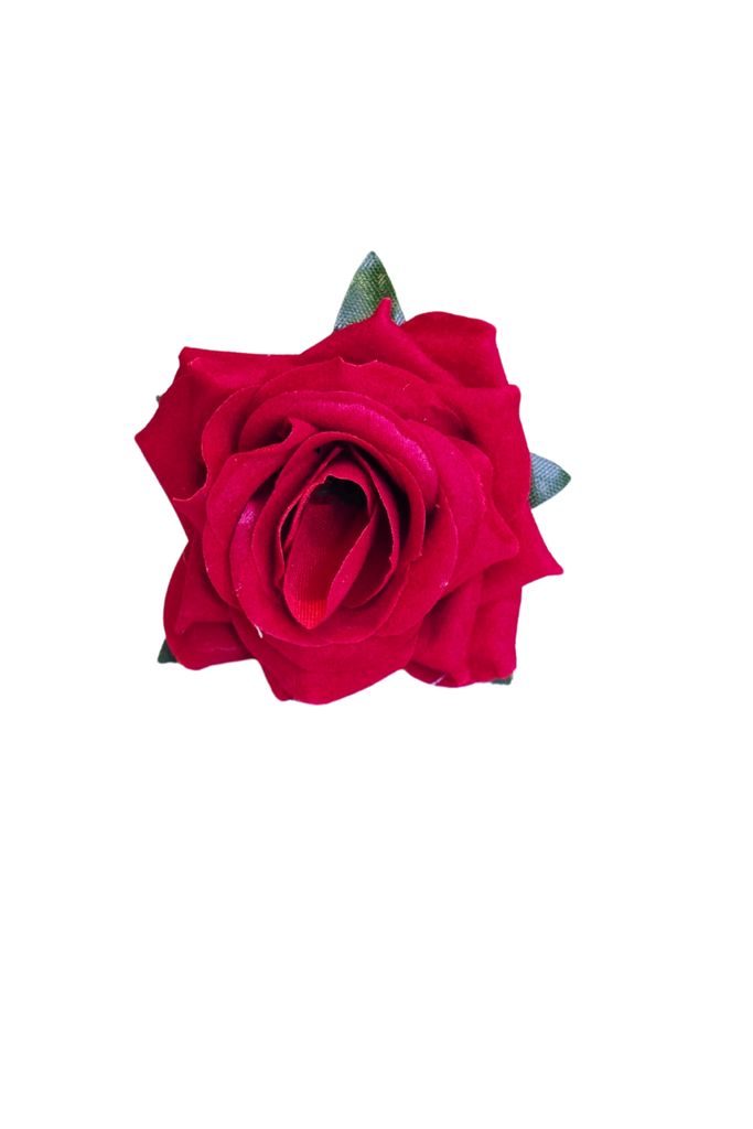 Mini Rosa Terciopelo