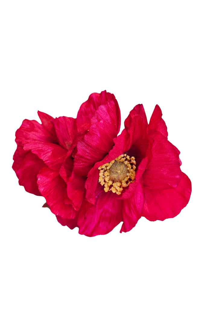 Ramillete Amapolas