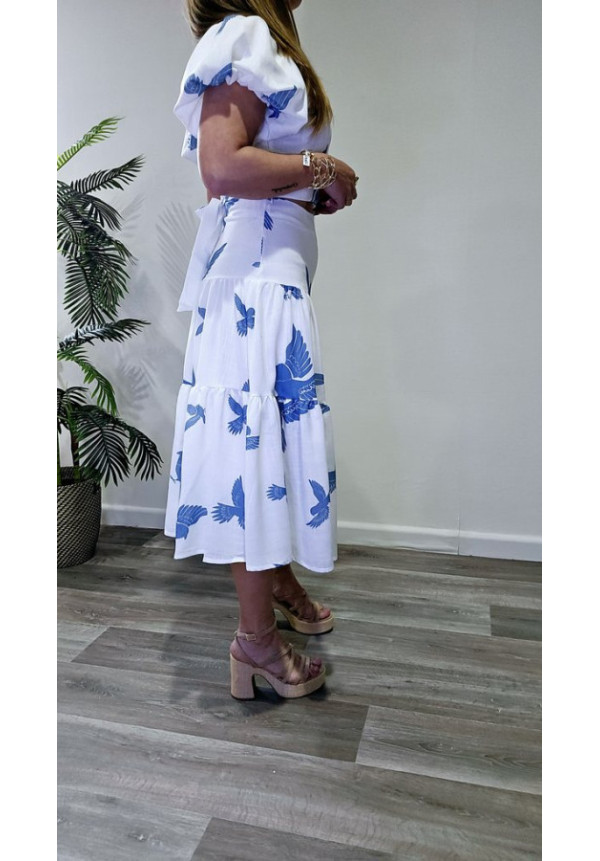 Conjunto Bird