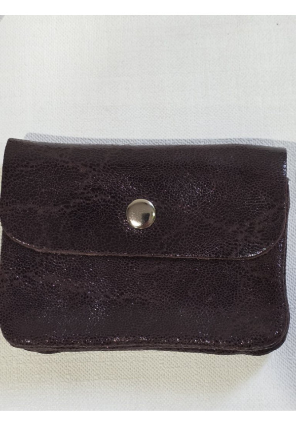 Cartera Piel Brillo