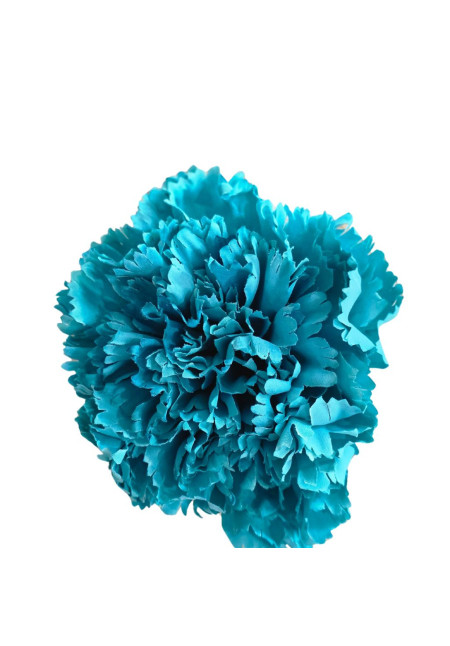 Clavel Mediano