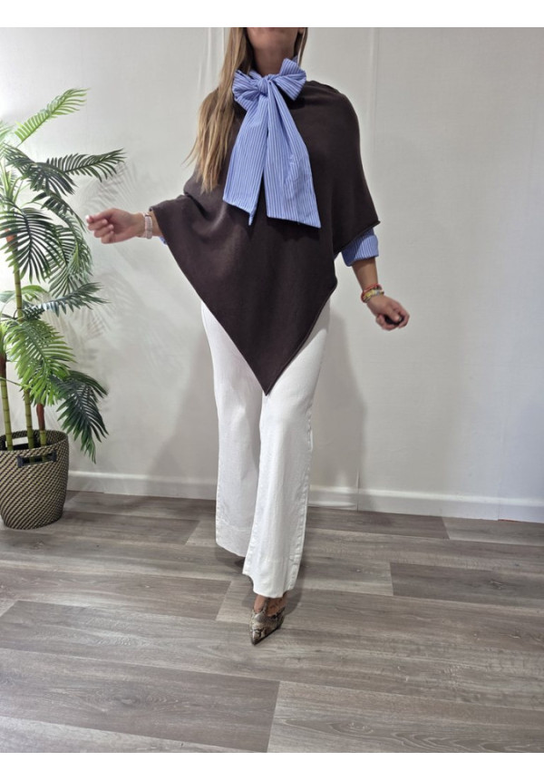 Poncho Pico