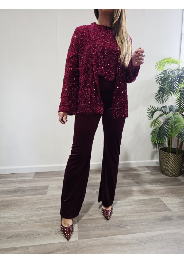 Blazer Terciopelo Deluxe