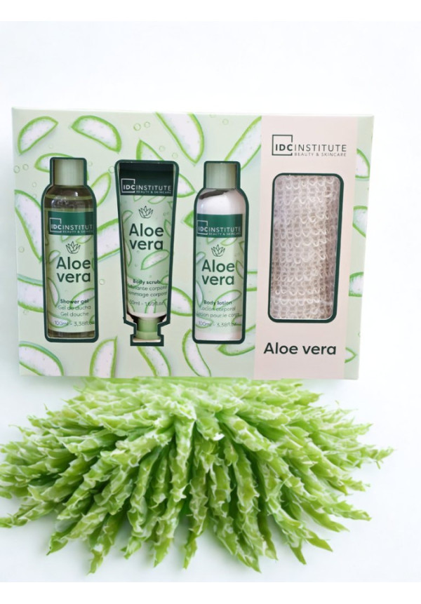 Set Aloe Vera 4PC