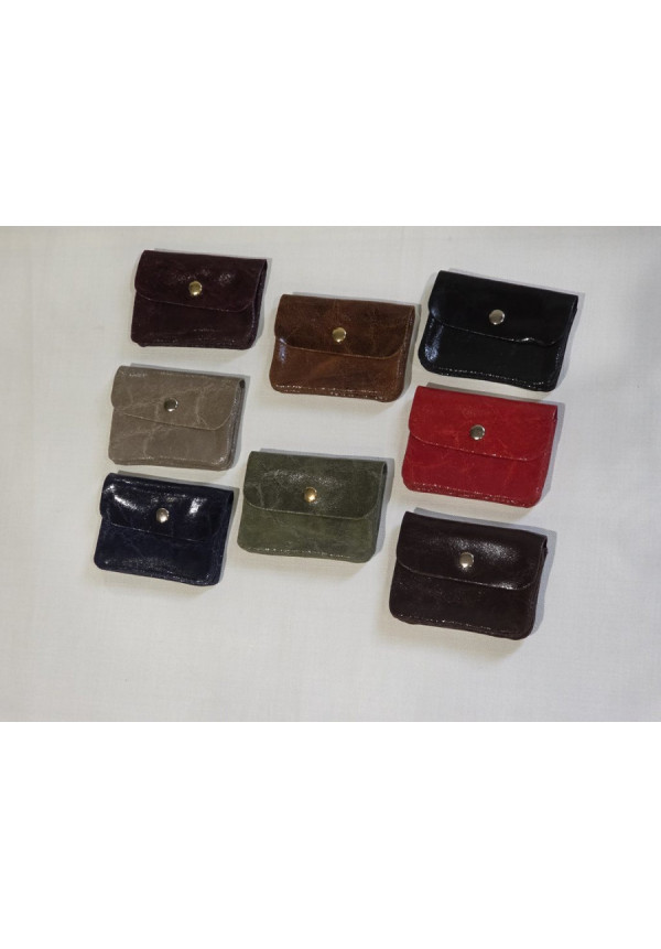 Cartera Piel Brillo