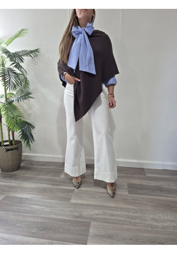 Poncho Pico