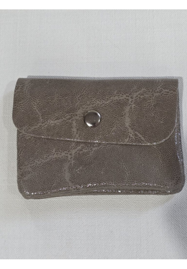 Cartera Piel Brillo