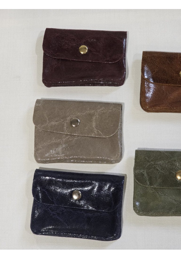 Cartera Piel Brillo