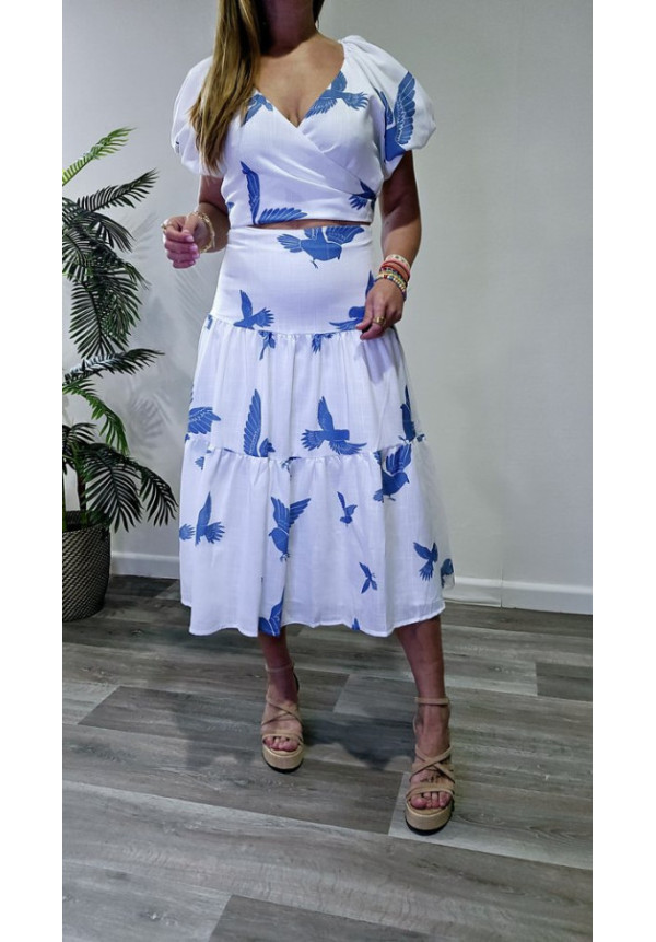 Conjunto Bird