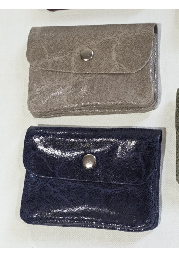 Cartera Piel Brillo