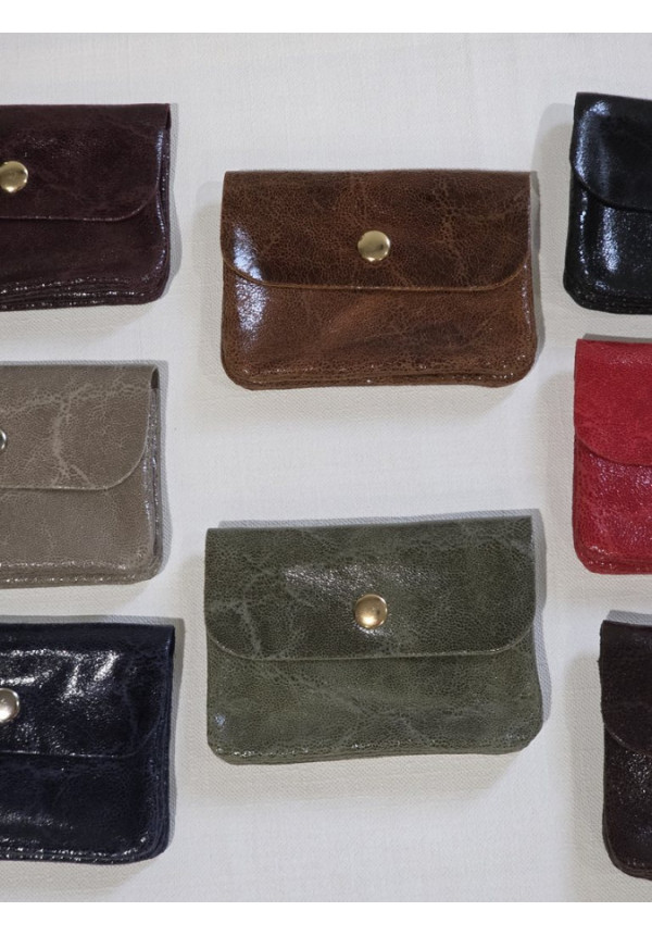 Cartera Piel Brillo