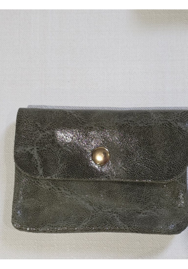 Cartera Piel Brillo