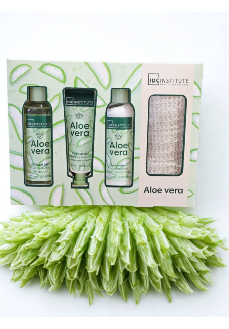 Set Aloe Vera 4PC